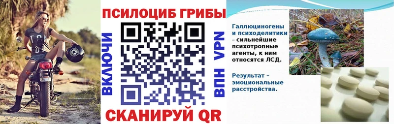 Псилоцибиновые грибы MAGIC MUSHROOMS  Котельниково 